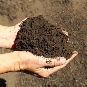 Soil & Composts